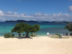 Luxury Beachfront - One Step to Sapphire Beach